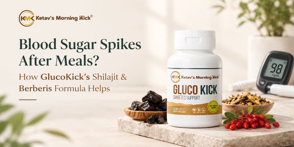 Blood Sugar Spikes After Meals? How GlucoKick’s Shilajit & Berberis Formula Helps