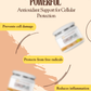 CURCUPLUS - Antioxidant Supplements Curcumin 95% & CoQ 10 with Optimum bioavailability