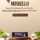 Muskello Energy Bar (Multigrain Protein Bar with Ashwagandha, Isoflavones Extracts, and Vitamins, Blueberry Flavour)