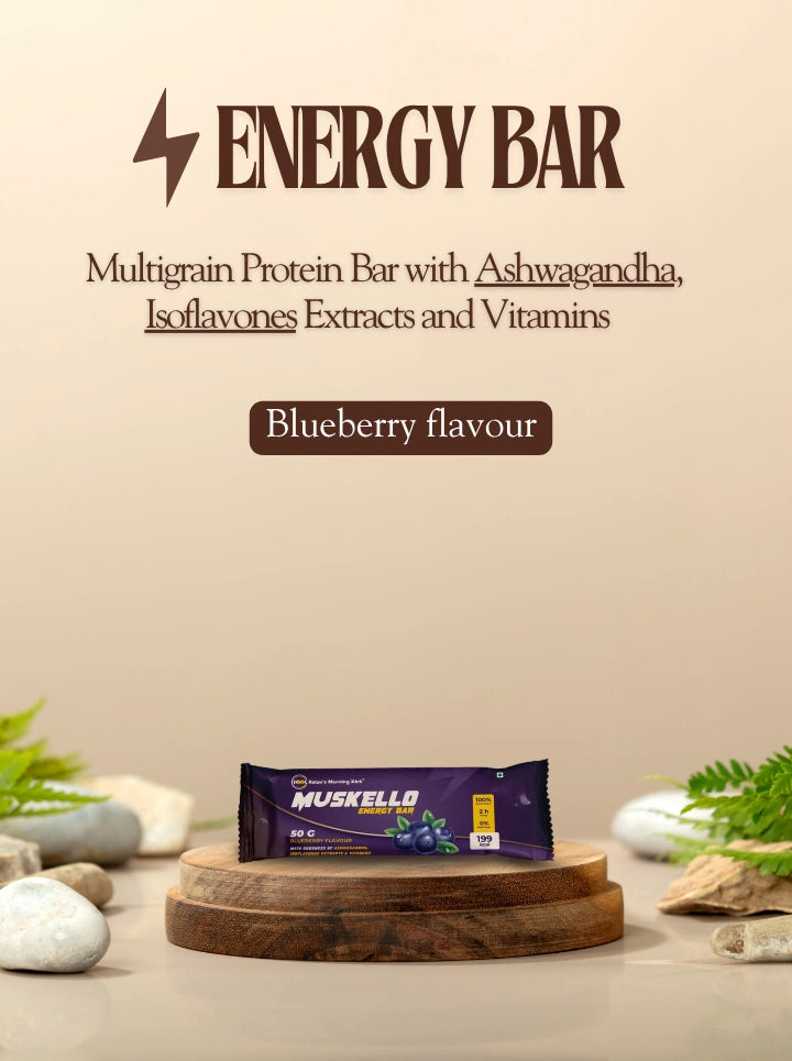 Muskello Multigrain Protein Bar – 10.56g Protein | Blueberry