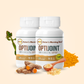 OPTIJOINT - Joint Support Supplement with Chondroitin, Glucosamine and Cissus For Joints Nourishment