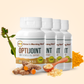OPTIJOINT - Joint Support Supplement with Chondroitin, Glucosamine and Cissus For Joints Nourishment